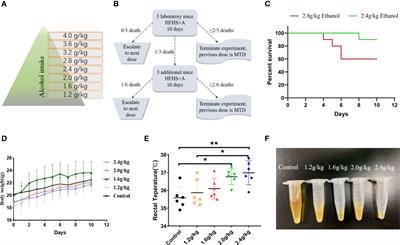 A Mouse Model of Damp-Heat Syndrome in Traditional Chinese Medicine and Its Impact on Pancreatic Tumor Growth